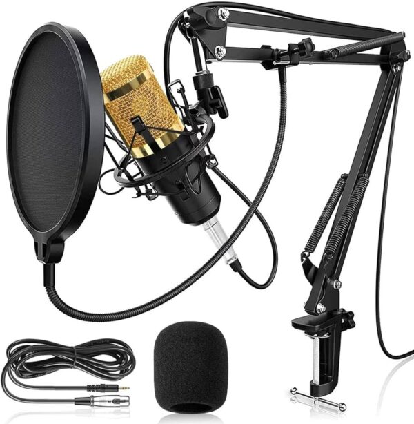 Professional BM 800 Condenser Microphone Full Studio Setup - BM800 Complete Package Price Mic Condenser Microphone For Studio Recording or Youtuber Youtube Channel Tiktok Computer Karaoke KTV